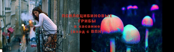 трава Весьегонск