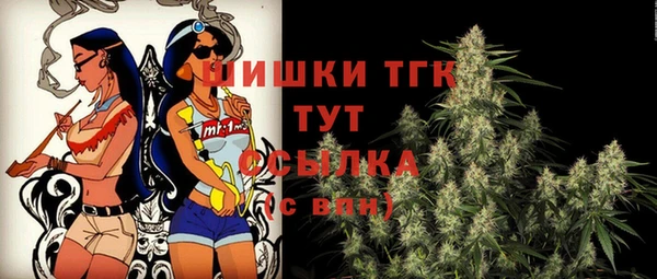 амф Надым