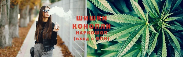 амф Надым