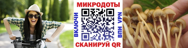 Галлюциногенные грибы мухоморы  наркошоп  Инза 